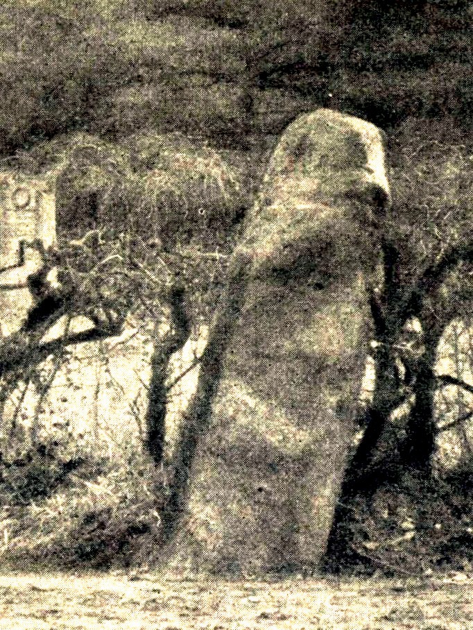 Kaiserswerth alter Menhir